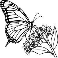 Monarch butterfly flying coloring pages. Butterfly on flower coloring pages vector