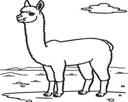 Alpaca coloring pages. Alpaca animal outline for coloring book. Animals Line Art vector