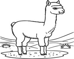 Alpaca coloring pages. Alpaca animal outline for coloring book. Animals Line Art vector