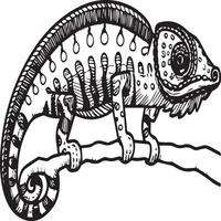 Chameleon coloring pages. chameleon animal line art vector