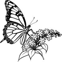 Monarch butterfly flying coloring pages. Butterfly on flower coloring pages vector