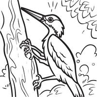 Woodpecker coloring pages. Woodpecker bird outline. Bird line art for coloring book vector