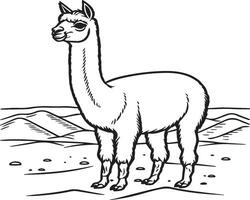 Alpaca coloring pages. Alpaca animal outline for coloring book. Animals Line Art vector