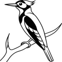 Woodpecker coloring pages. Woodpecker bird outline. Bird line art for coloring book vector