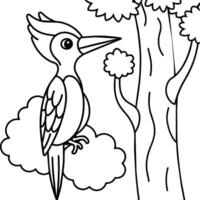 Woodpecker coloring pages. Woodpecker bird outline. Bird line art for coloring book vector