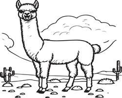 Alpaca coloring pages. Alpaca animal outline for coloring book. Animals Line Art vector