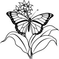 monarca mariposa volador colorante paginas mariposa en flor colorante paginas vector