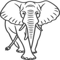 Elephant animal coloring pages for coloring book vector