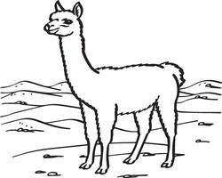 Alpaca coloring pages. Alpaca animal outline for coloring book. Animals Line Art vector