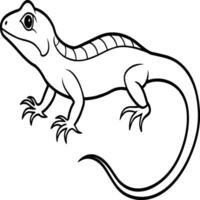 Lizard coloring pages. Lizard animal outline. Reptile line art vector