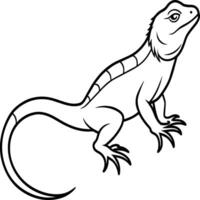 Lizard coloring pages. Lizard animal outline. Reptile line art vector