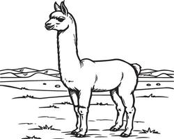 Alpaca coloring pages. Alpaca animal outline for coloring book. Animals Line Art vector