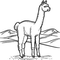 Alpaca coloring pages. Alpaca animal outline for coloring book. Animals Line Art vector