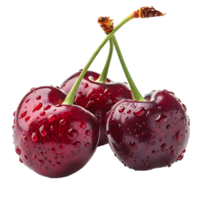 Cherry on isolated transparent background png