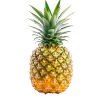 ananas på isolerat bakgrund png