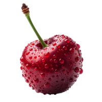 Cherry on isolated transparent background png