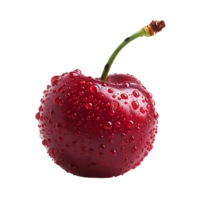 Cherry on isolated transparent background png