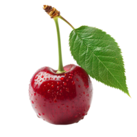 Cherry on isolated transparent background png