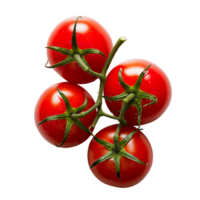 Tomato fruit on isolated transparent background png