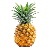 pineapple on isolated background png