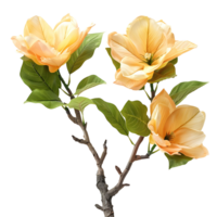 Tulip tree on isolated transparent background png