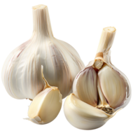 Garlic on isolated background png