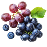 Blue grapes on isolated background png