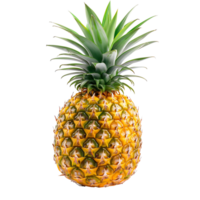 pineapple on isolated background png