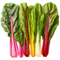 Fresh swiss chard vegetable on isolated transparent background png