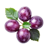 Grape fruits on isolated transparent background png