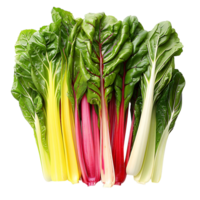 Fresh swiss chard vegetable on isolated transparent background png