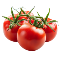 Tomato fruit on isolated transparent background png