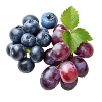 Blue grapes on isolated background png