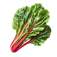 Fresh swiss chard vegetable on isolated transparent background png