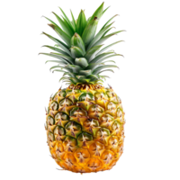 pineapple on isolated background png