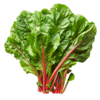 Fresh swiss chard vegetable on isolated transparent background png