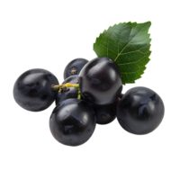 Grape fruits on isolated transparent background png
