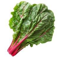 Fresh swiss chard vegetable on isolated transparent background png