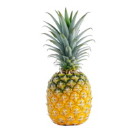 pineapple on isolated background png