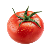 Tomato fruit on isolated transparent background png