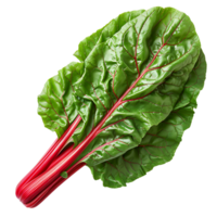Fresh swiss chard vegetable on isolated transparent background png