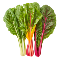 Fresh swiss chard vegetable on isolated transparent background png