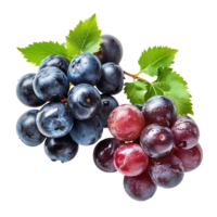 Blue grapes on isolated background png