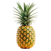 Ananas auf isoliert Hintergrund png