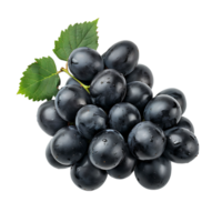 Grape fruits on isolated transparent background png