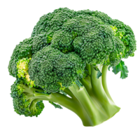 broccoli Aan transparant achtergrond png