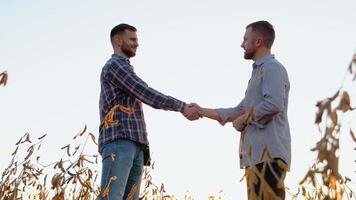 Two farmers standing outdoors in soy field in autumn shaking hands on deal. Handshake on soybean field video