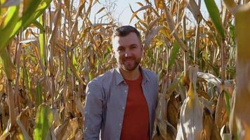 Confident agronomist walking along corn field for inspection. Harvest care concept video