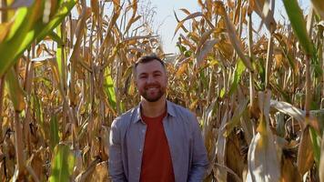 Caucasian farm worker walking along corn field for inspection. Harvest care concept video