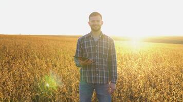 Portrait of farmer standing in soybean field examining crop at sunset video